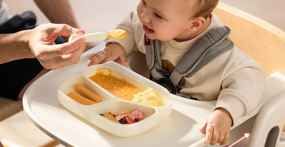 Best Baby Highchairs for Comfort and Versatility in Every Meal