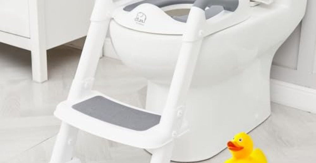 Best Toilet Training Seats